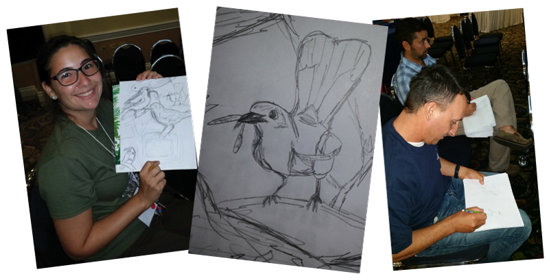 How To Sketch A Robin Step By Step Tutorial