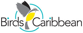 BirdsCaribbean-3-Color-Logo