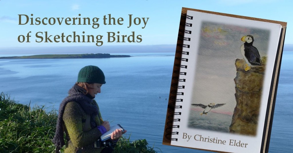 FB-cover-sketching-birds