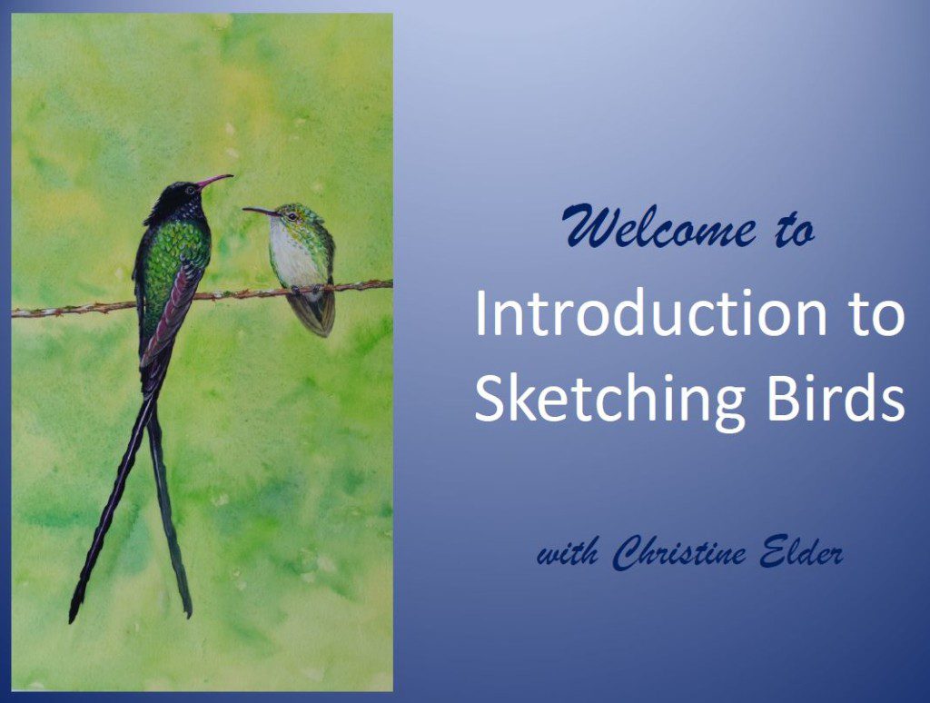 bird-sketching-workshop-powerpoint-title-page
