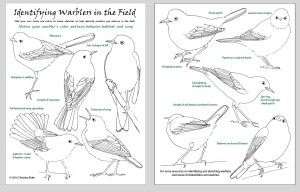 Identifying Warblers Infographic-screen capture