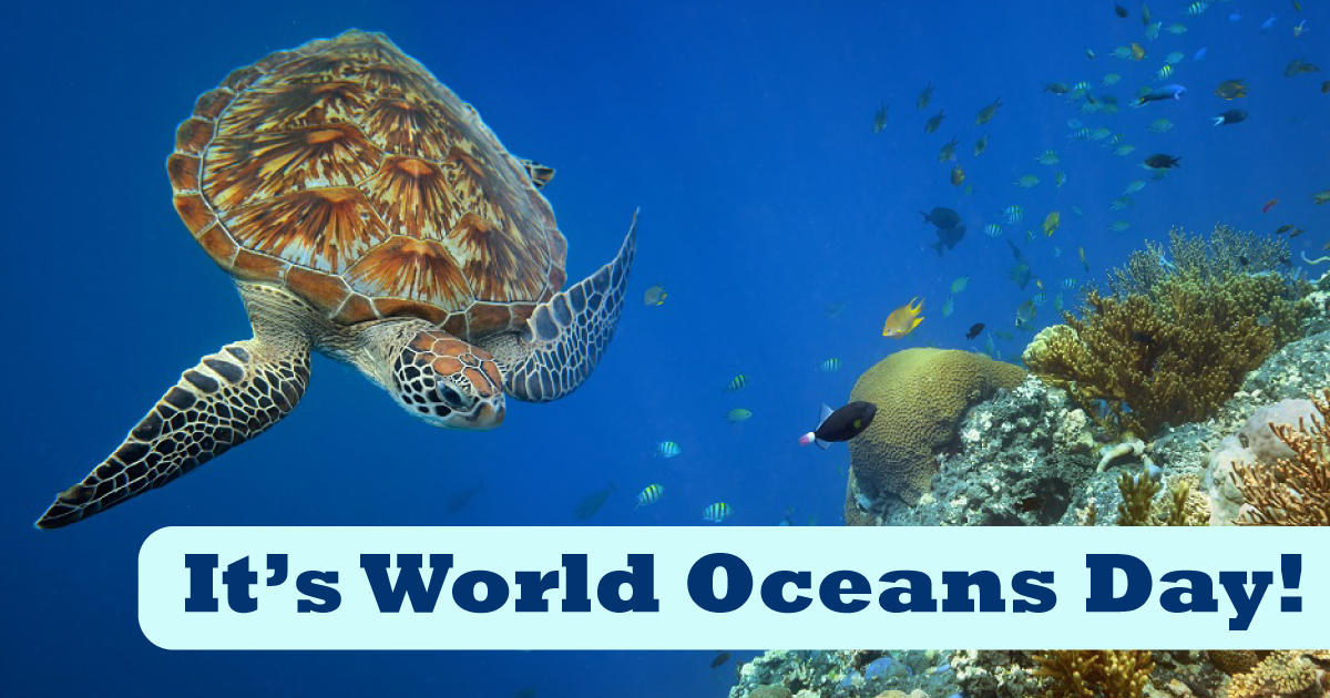 World Oceans Day