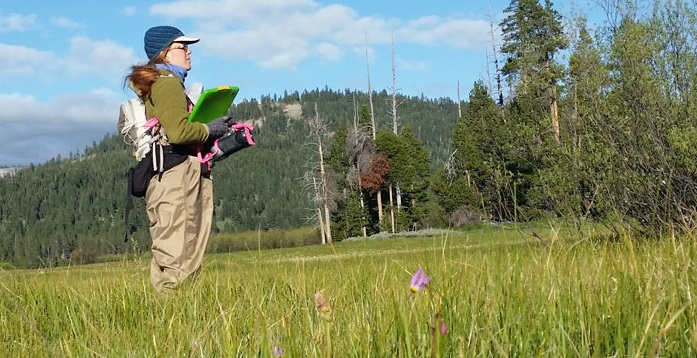 A Day in the Life of a Field Biologist