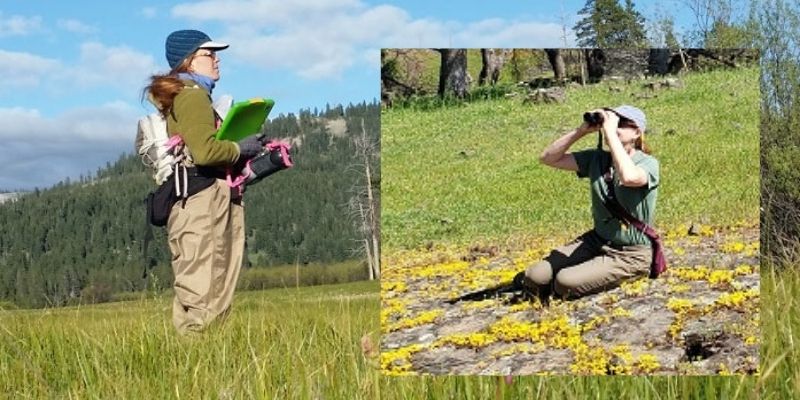 A Day in the Life of a Field Biologist