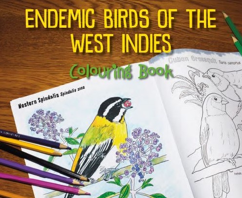 Caribbean Birds Colouring Book