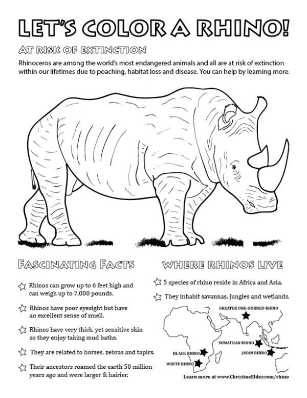 Wildlife Coloring Pages for Kids