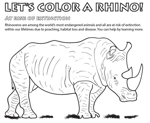 Wildlife Coloring Pages for Kids