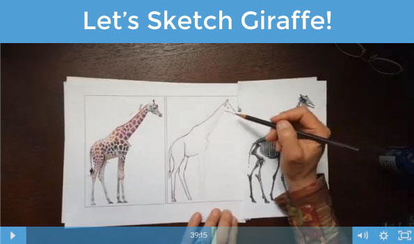 How to Sketch Giraffe