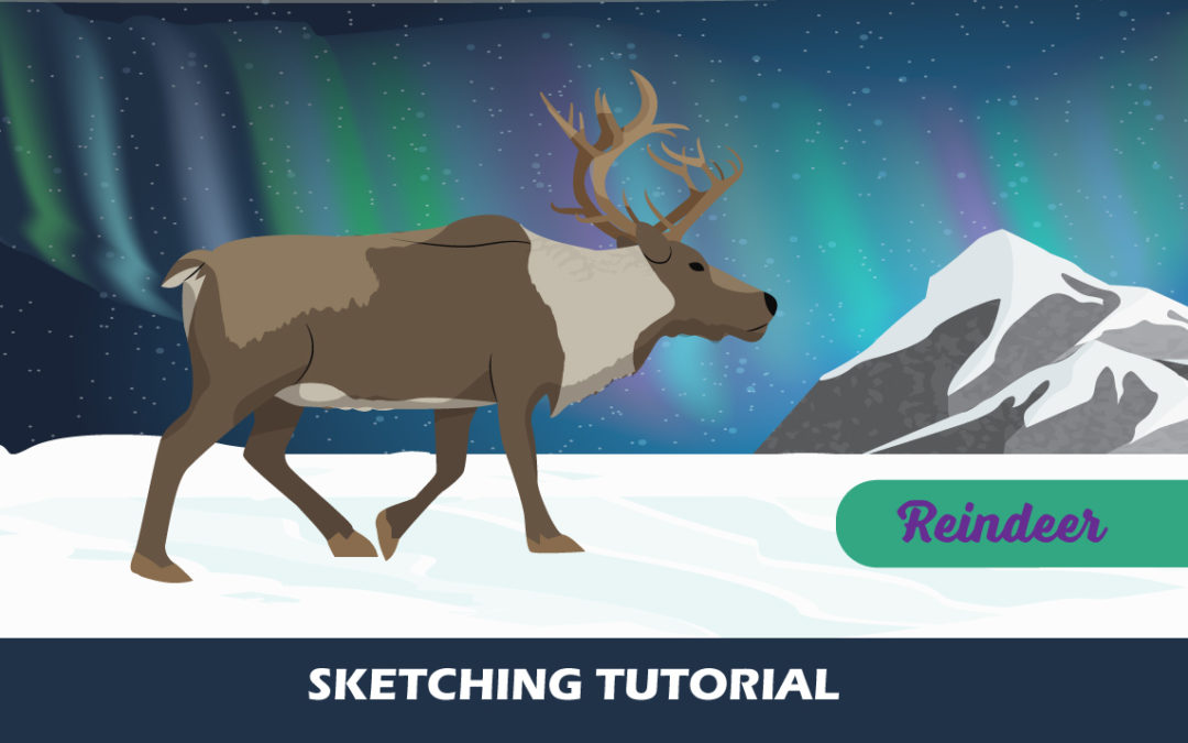 Sketching Reindeer