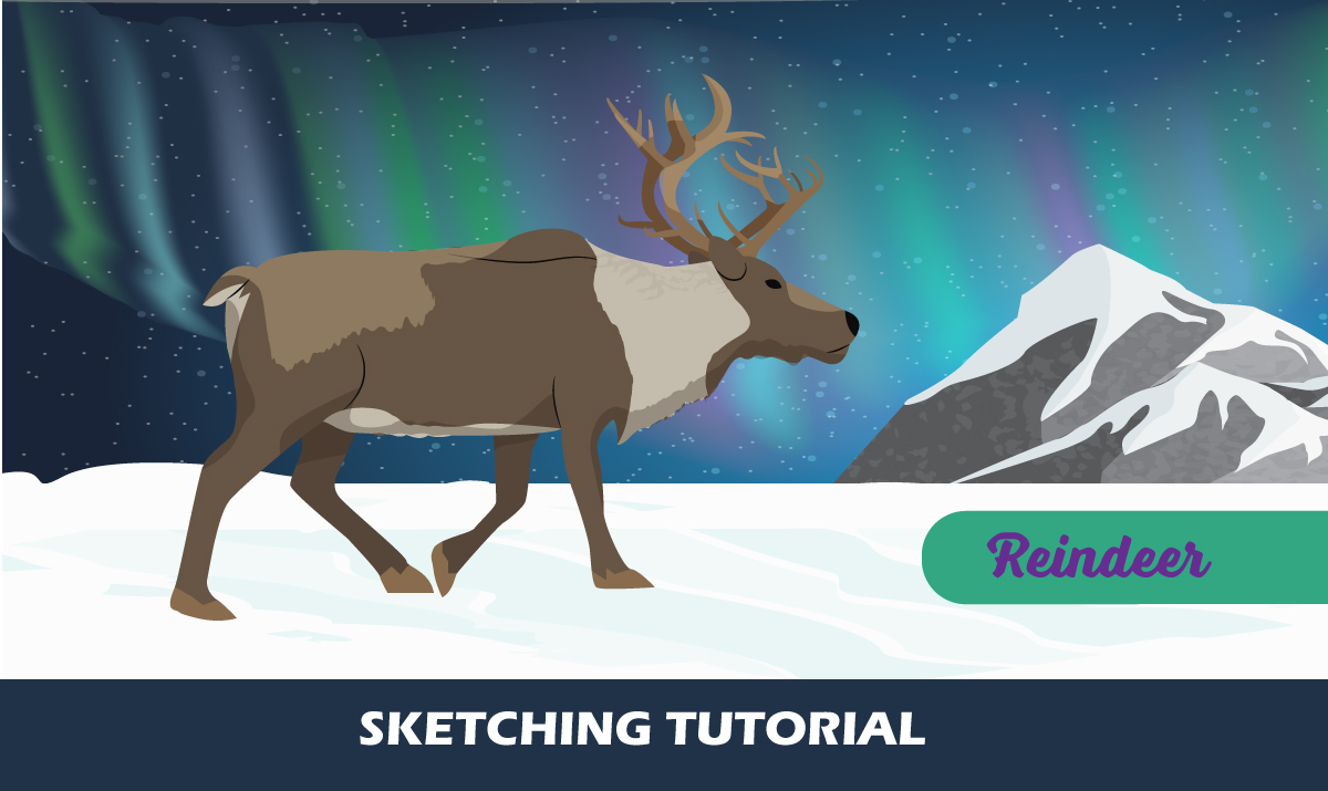 How To Draw A Reindeer - Step By Step Drawing Tutorial