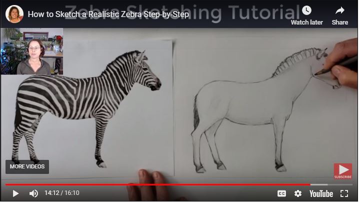 How To Sketch Zebra