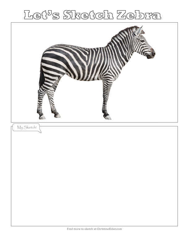 How To Draw A Zebra Head Step By Step Drawing Guide By
