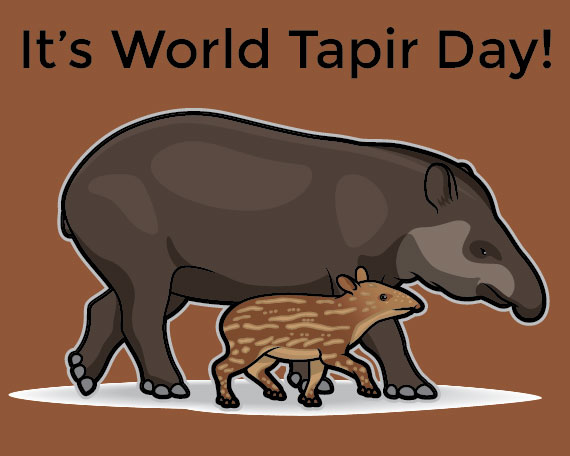 Celebrate Tapirs!