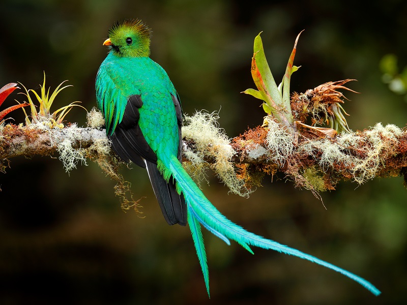 Nature of Costa Rica