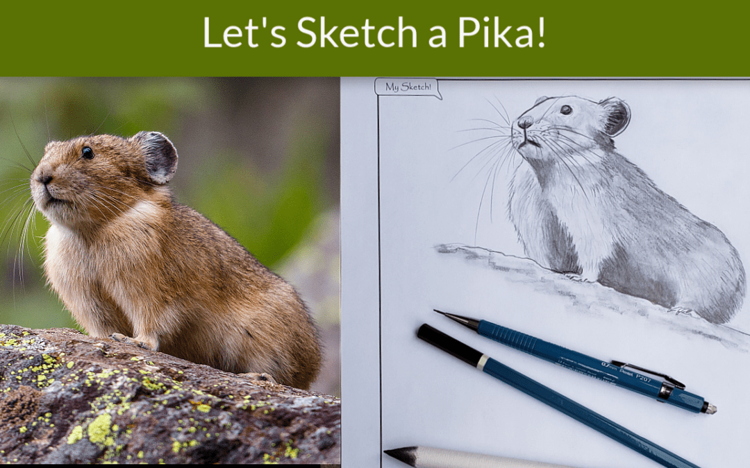 Sketching Pikas