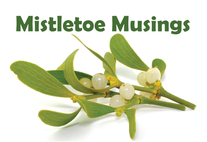 Mistletoe Musings