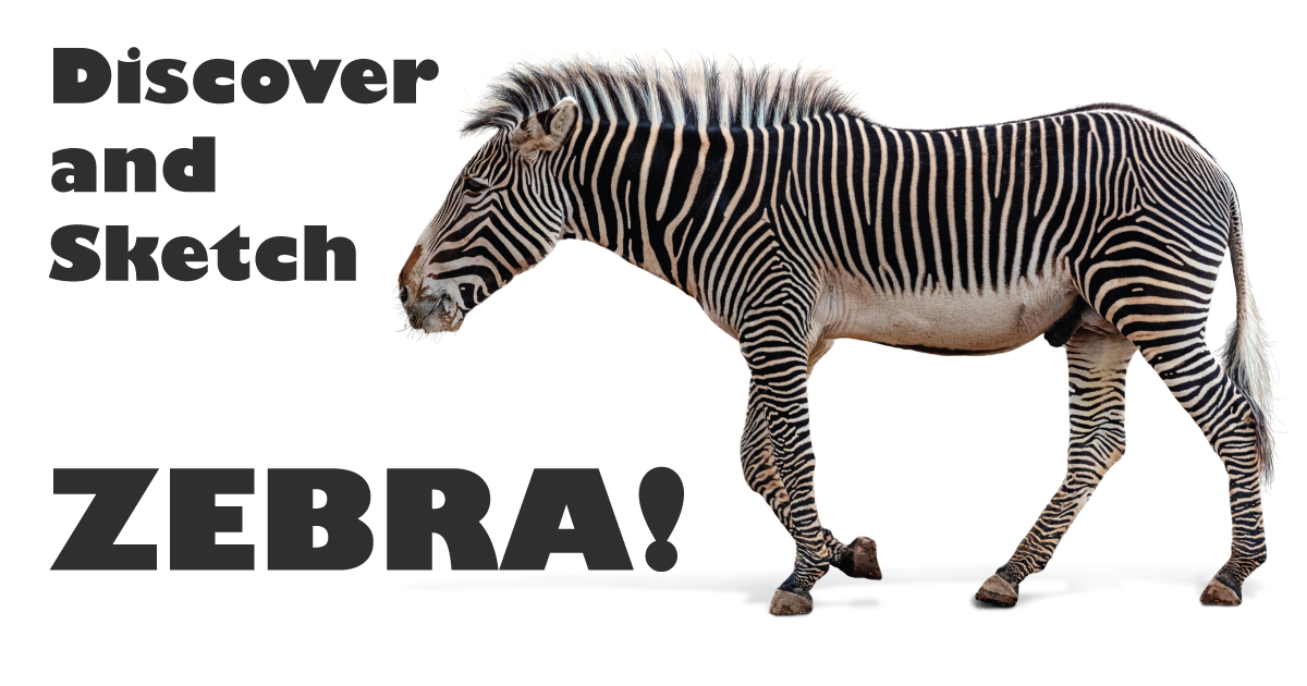 International Zebra Day