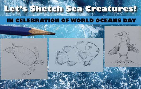 Sketching Sea Creatures