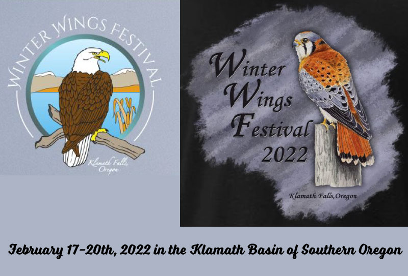 Winter Wings Festival