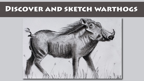 Celebrating Warthogs!