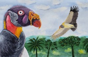 king vulture painting by christine elder