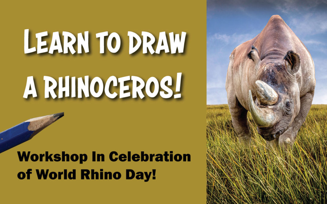 Discover and Sketch African Rhinos