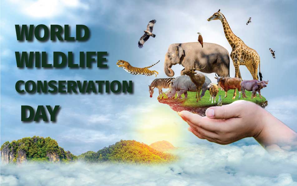 Wildlife Conservation Day