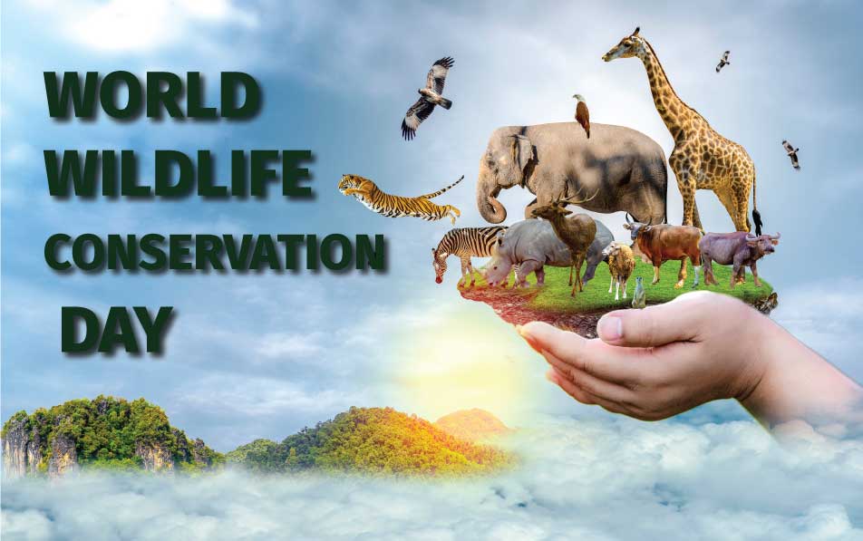 National Wildlife Conservation Day 2024 Eleen Idalina