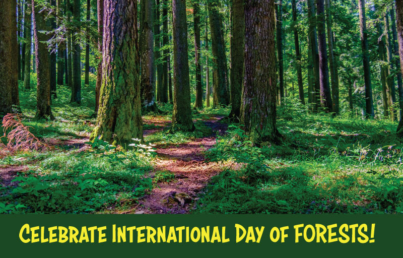 Intl. Day of Forests