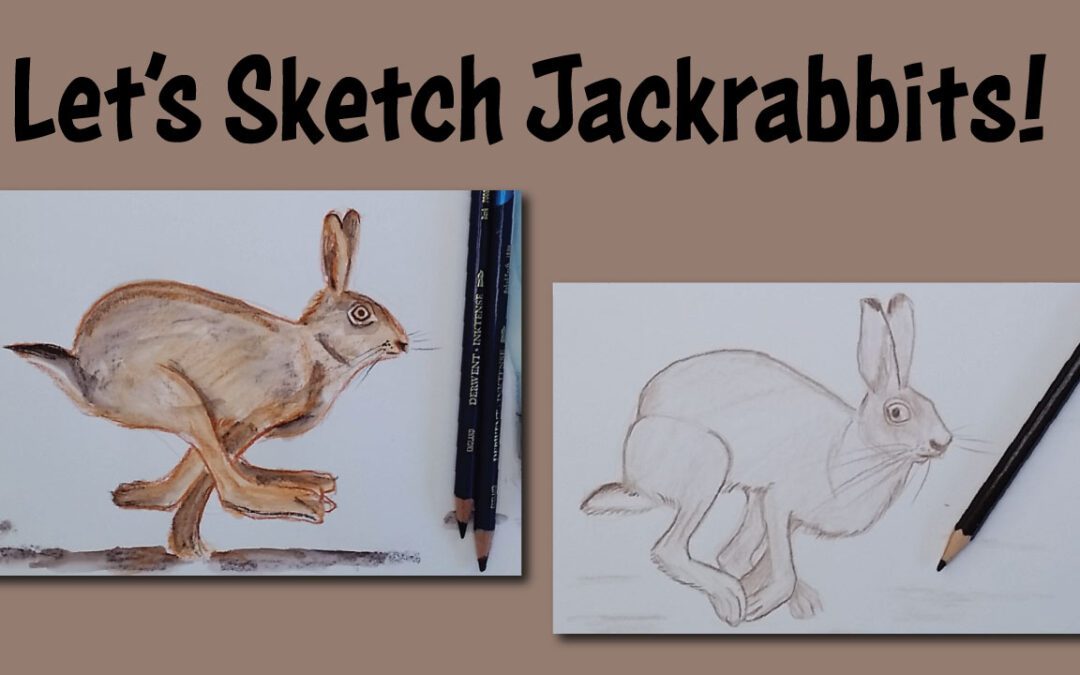 Sketching Jackrabbits
