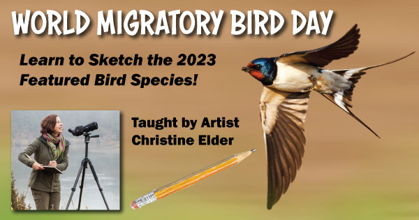 World Migratory Bird Day Celebrations