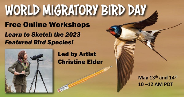 World Migratory Bird Day Celebrations