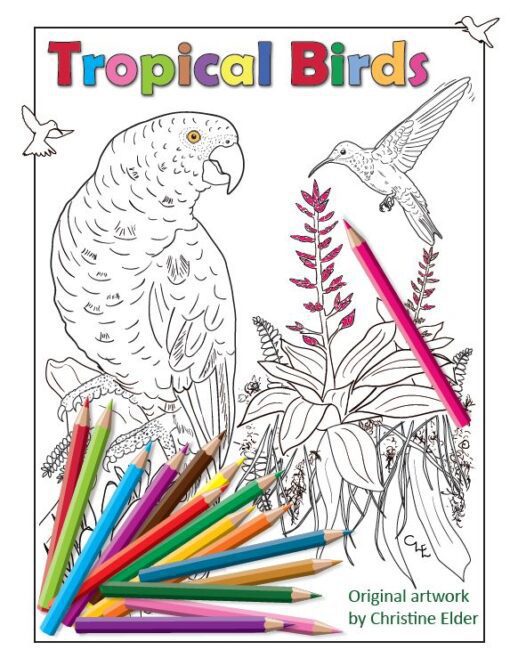 Tropical Birds Coloring Book