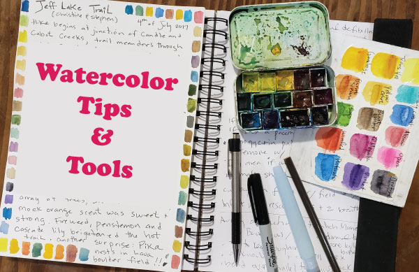 Tips for Using Watercolors in the Field
