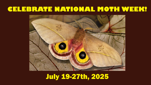 National Moth Week