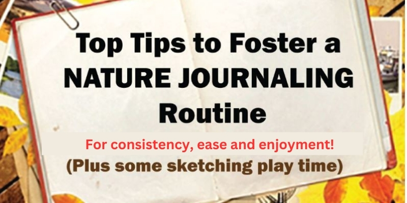 Tips for Fostering a Nature Journaling Routine