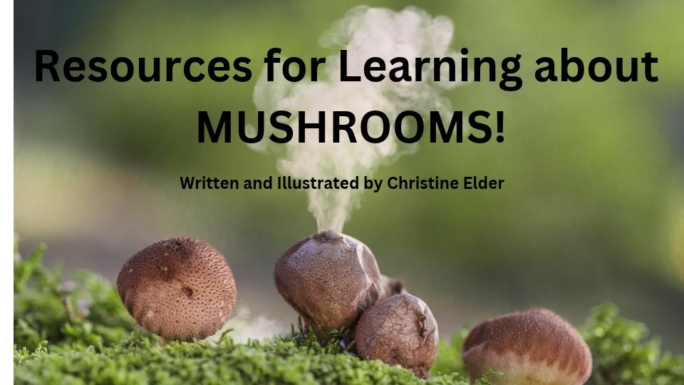 Mushroom Resources